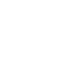 Artemis Srls